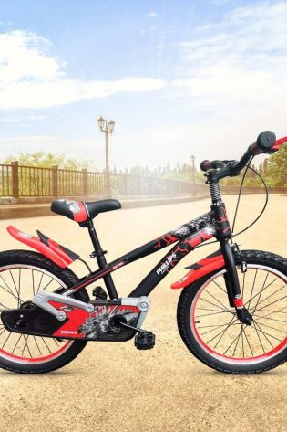 Phillips Bicicleta 20TZ-B6R