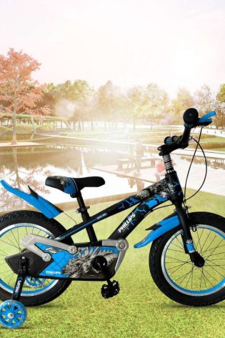 Phillips Bicicleta 16TZ-B6A