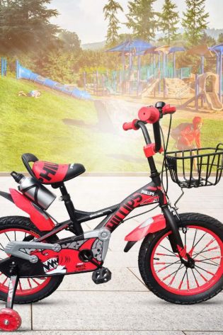 Phillips Bicicleta 16TZ-B18V